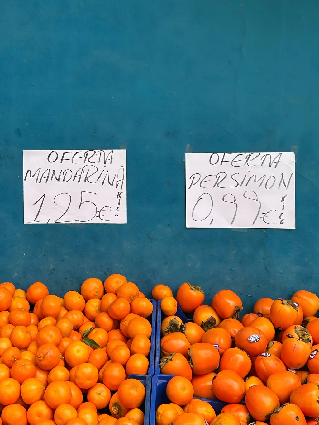 Mandarins, Original Photographic Canvas Print