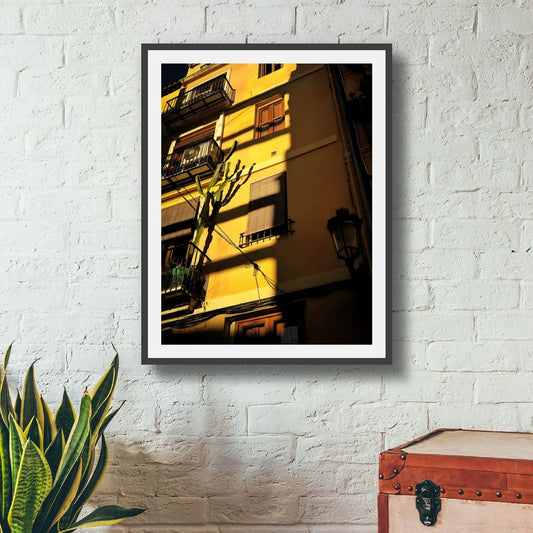 Original Photographic Canvas Print