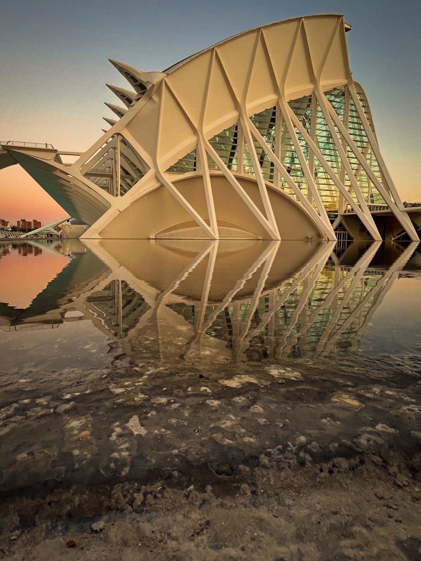 Reflection at The City of Arts and Sciences Canvas Print