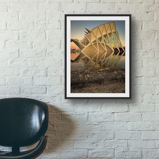Reflection at The City of Arts and Sciences Canvas Print